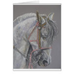 Andualusian Horse Card