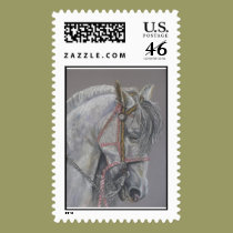 Andualusian Horse Stamp by artworkbyandrea Andualusian Horse Stamp