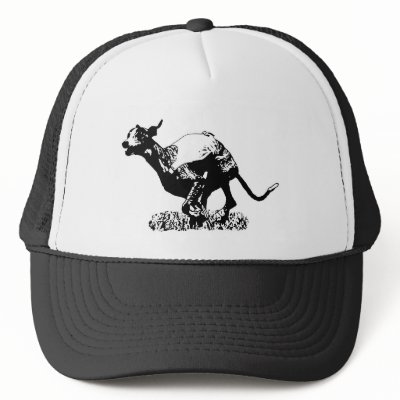 Andy Trucker Hat by whippetdude