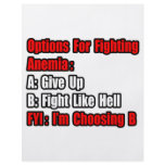 Anemia Fighting Options Flyer