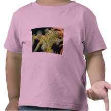 Anémonas que encrustan hermosas atadas a un mar fa camisetas