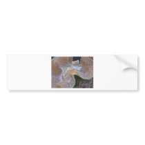 anemone 2 bumper stickers