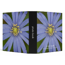 Anemone Blanda Vinyl Binders