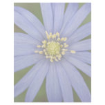 Anemone Blanda Custom Letterhead
