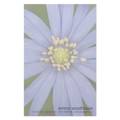 Anemone Blanda Custom Stationery by SabineSt