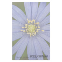 Anemone Blanda Custom Stationery