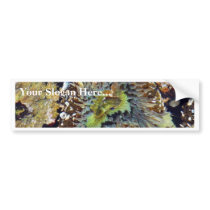 Anemone Bumper Stickers