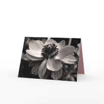Anemone Card