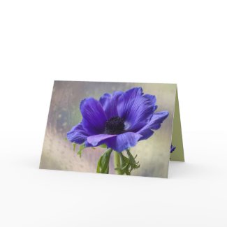 Anemone Card card