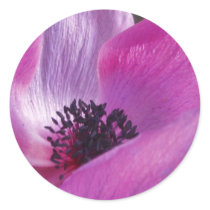 Anemone Closeup Stickers