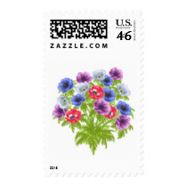 Anemone de Caen Garden Flowers Postage
