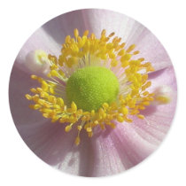 Anemone detail stickers
