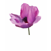 Anemone Flower Tshirt