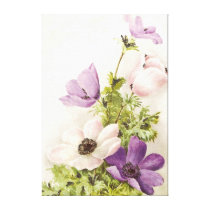 Anemone Flowers Stretched Canvas Print