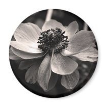 Anemone Fridge Magnets