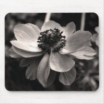 Anemone mousepads by PBsecretgarden Anemone mousepads