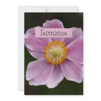 Anemone Party Announcement Invitation