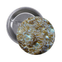 anemone buttons