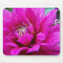 Anemone - Pink Mousepad