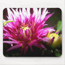Anemone - Pink Mousepad