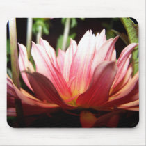 Anemone - Pink Mousepad