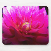 Anemone - Pink Mousepad