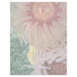 Anemone, Puget Sound, Washington State, U.S.A. Custom Letterhead