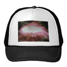 anemone,red mesh hat