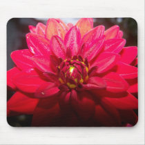 Anemone - Red Mousepad