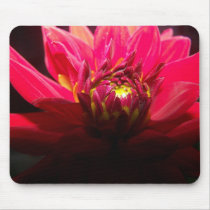 Anemone - Red with a tint of yellow Mousepad