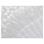 Anemone, Sipadan Island, Borneo, southeast Asia Custom Letterhead