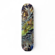 Anemone Custom Skateboard