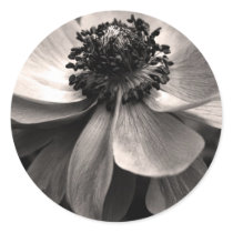Anemone Sticker