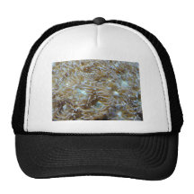 anemone trucker hat