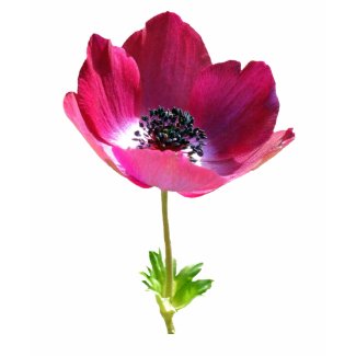 Anemone Tshirt shirt