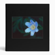 Anemone Vinyl Binders