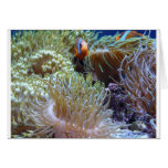 anemone, with peeking clown fish greeting card