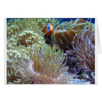 anemone, with peeking clown fish greeting card