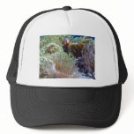 anemone, with peeking clown fish trucker hat