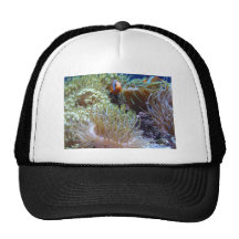 anemone, with peeking clown fish trucker hat