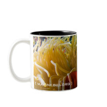 Anemonefish coffee mug