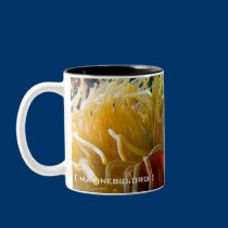 Anemonefish coffee mug mugs