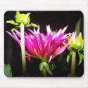Anemone's02 mousepads