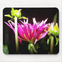 Anemone's02 mousepads