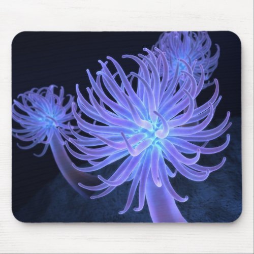 Anemones Mousepad mousepad
