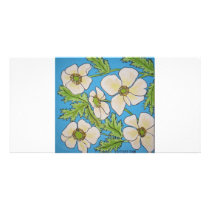 Anemones Personalized Photo Card