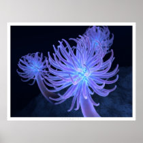 anemones, glowing, blue, digital, blasphemy, Poster with custom graphic design