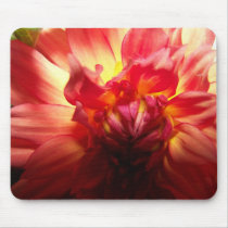 Anemonie01 mousepads