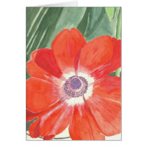 Anenome cards