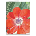 Anenome cards